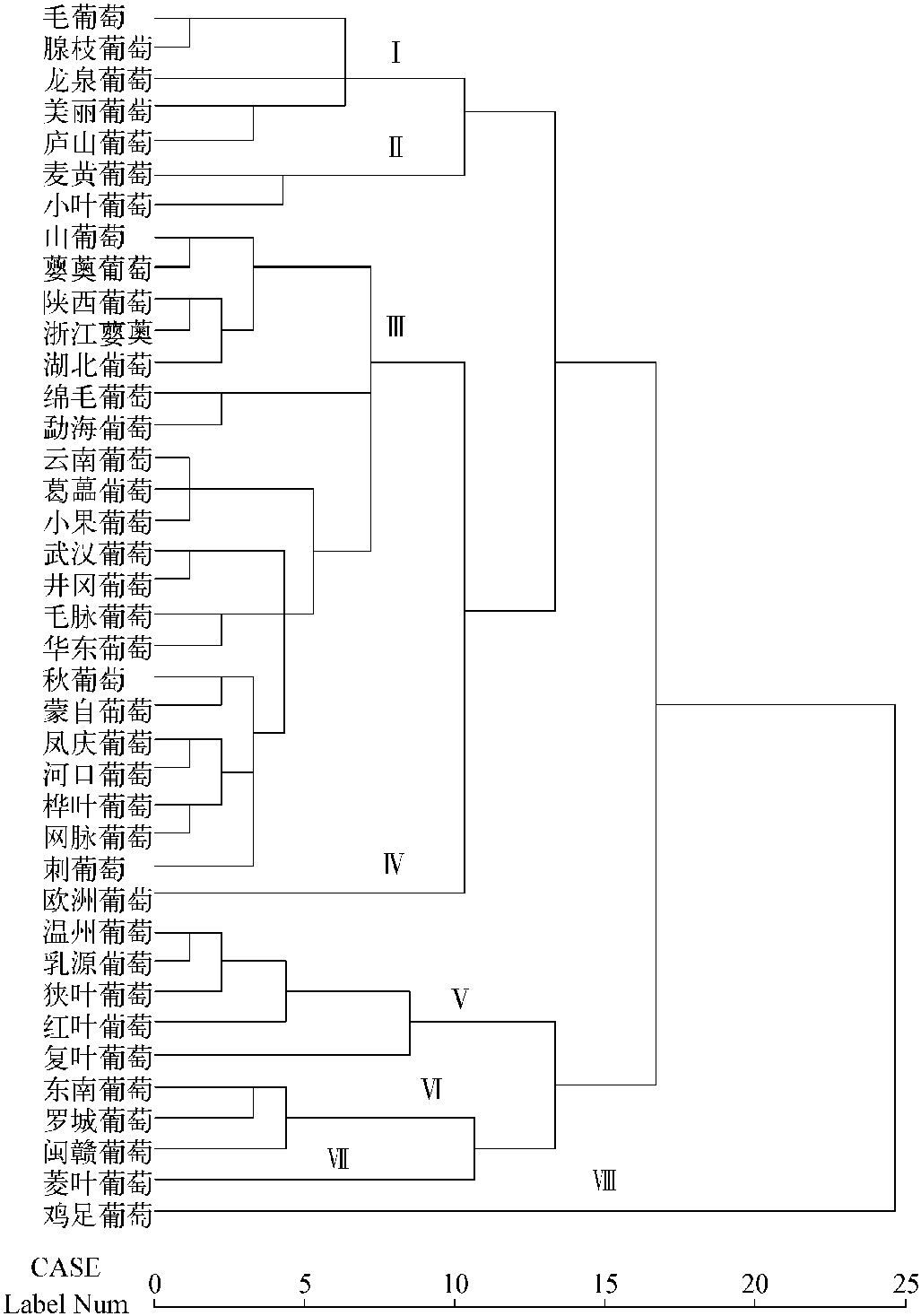 1.1.2 我國(guó)葡萄屬植物形態(tài)學(xué)聚類(lèi)分析